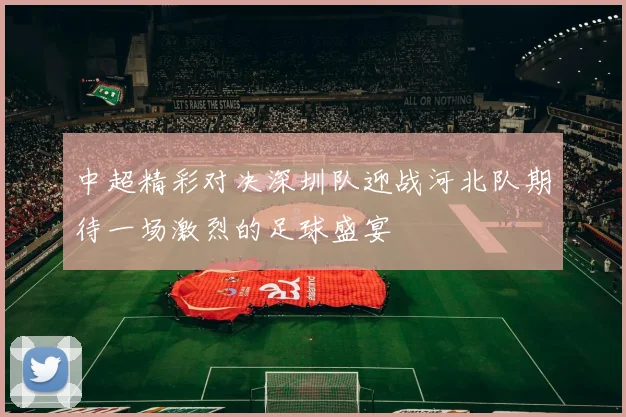 中超精彩对决深圳队迎战河北队期待一场激烈的足球盛宴